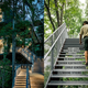Illustration for article titled The Boy Scouts Educational Treehouse Looks Just Like an Ewok Village